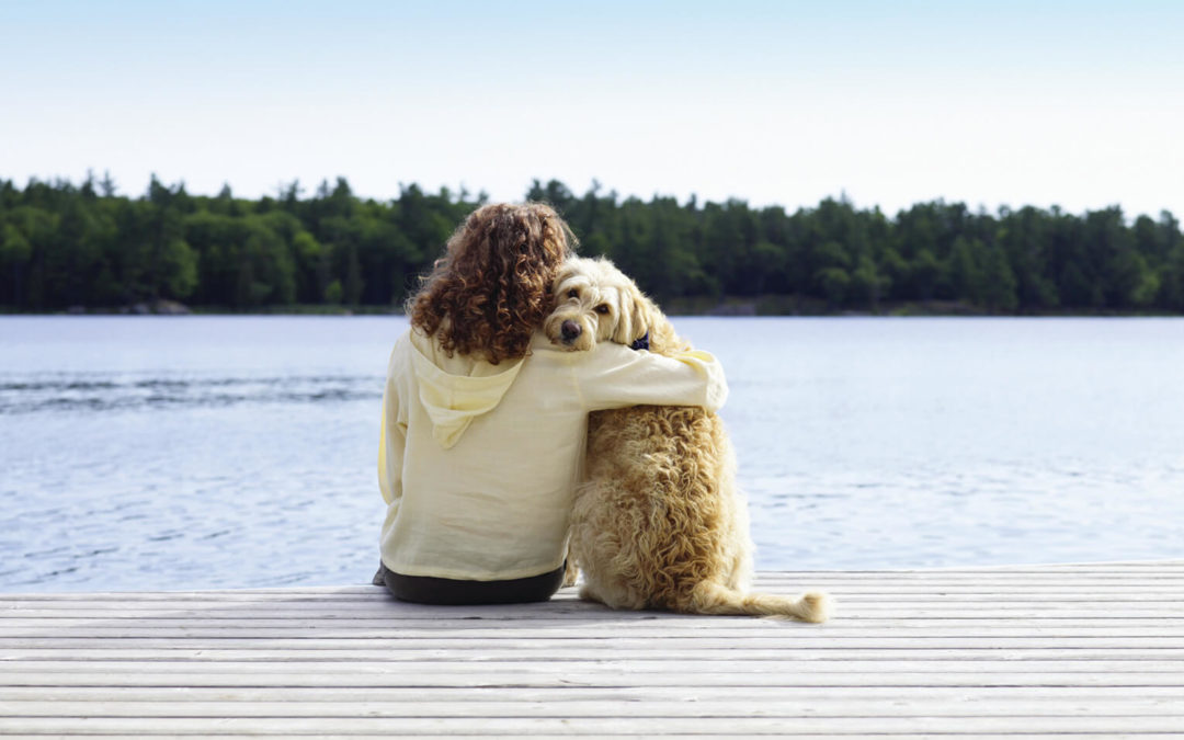 After you say goodbye grieving for a lost pet, part 3