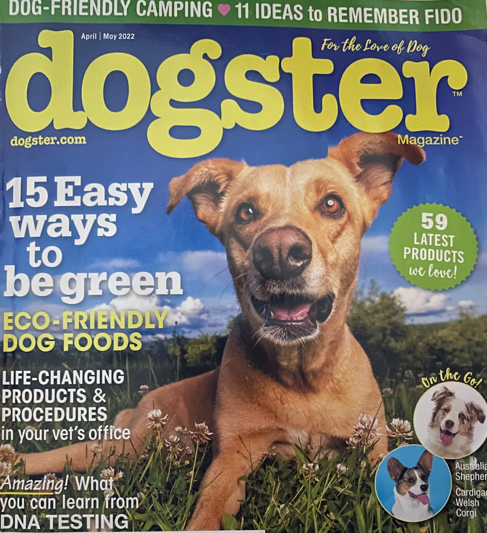 Remembering Fido – Dogster