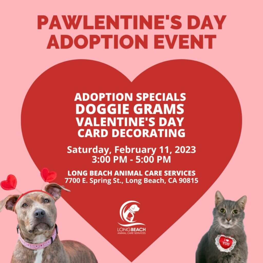 Pawlentine’s Day Adoption Event: Speed-dating in the best possible way