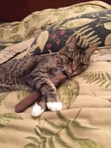 Here’s Old Scratch with his catnip cigar